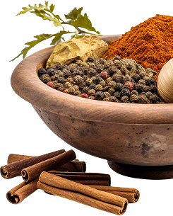 spice chicken